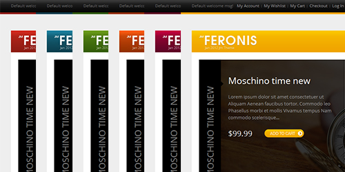 Responsive Magento theme Feronis feature