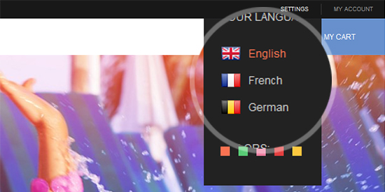 Multiple languages and currencies alternatives in responsive Magento theme Summer