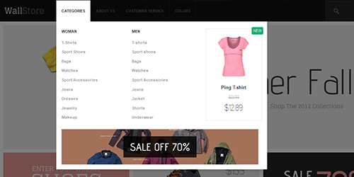 responsive Magento theme feature