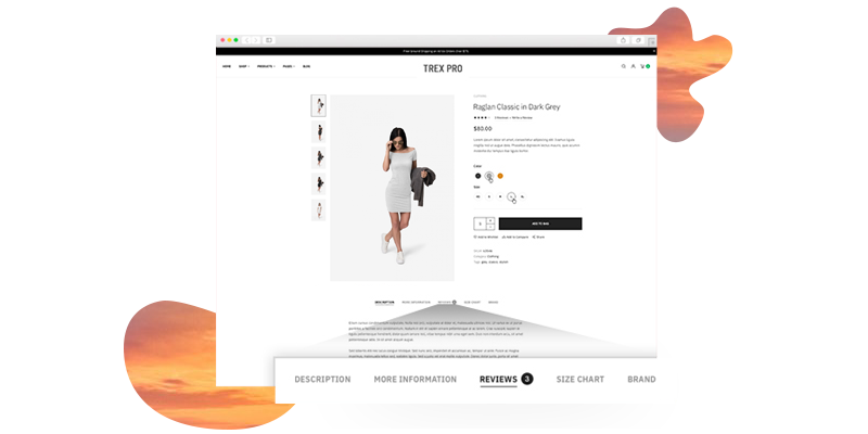 Rapid Magento 2 Site Development Bundle - Advanced custom product tabs