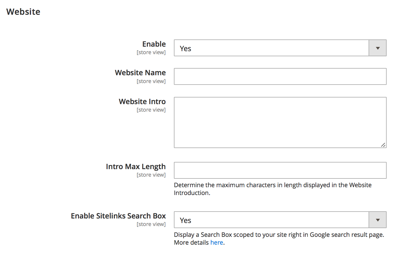 Website Rich Snippets configuration